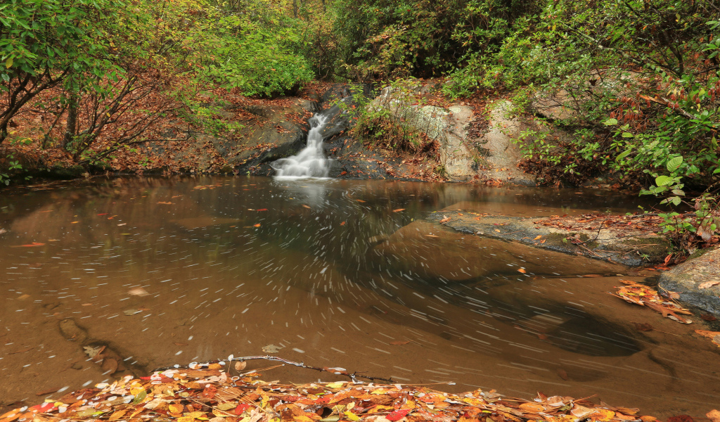 Красивый холодный осенний лес с водопадом