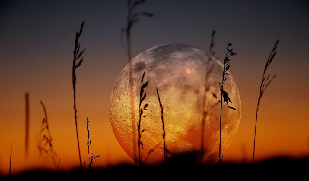 Большая холодная луна над полем