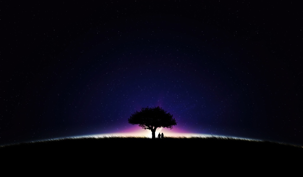 Большое дерево на фоне неба ночью