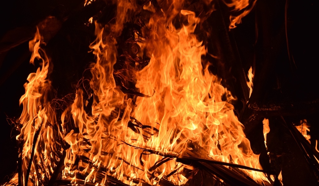 Яркий горячий огонь костра вблизи