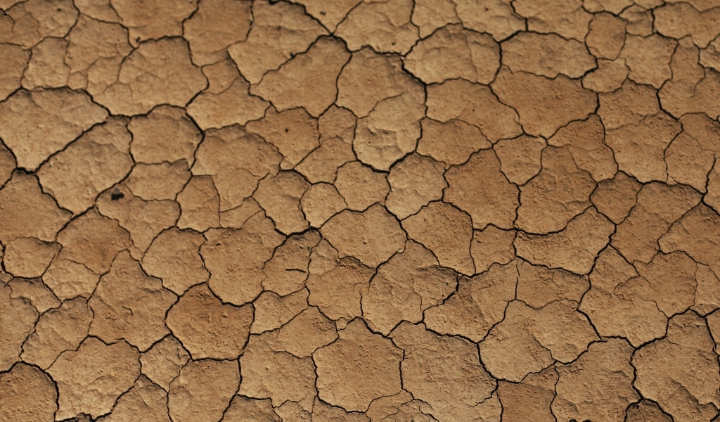 Трещины на сухой земле 