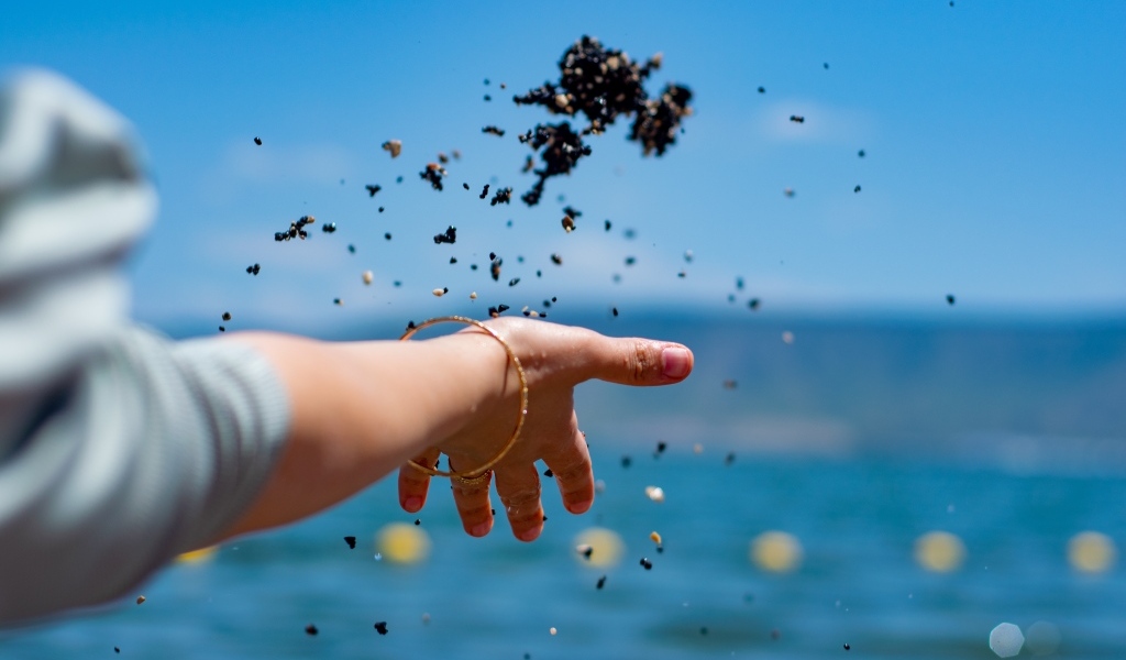 Девушка бросает корм в воду