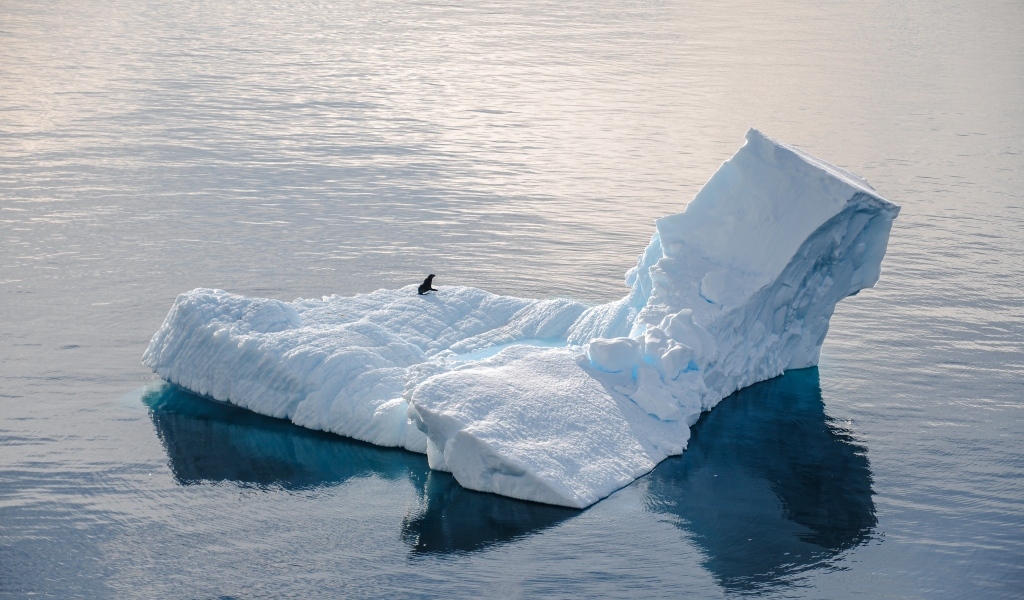 Большой холодный айсберг водах Антарктики