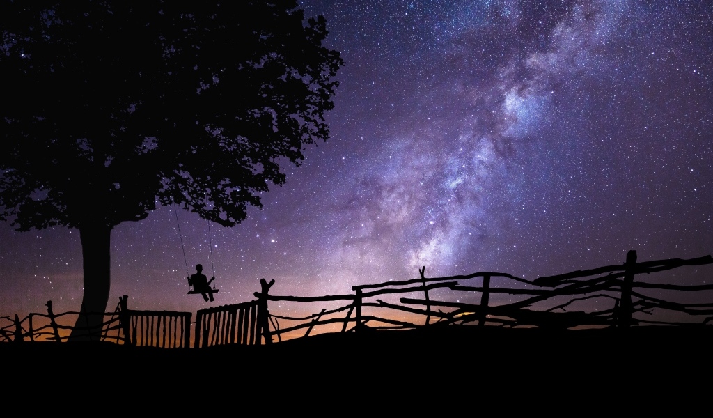 Млечный путь в небе над деревом