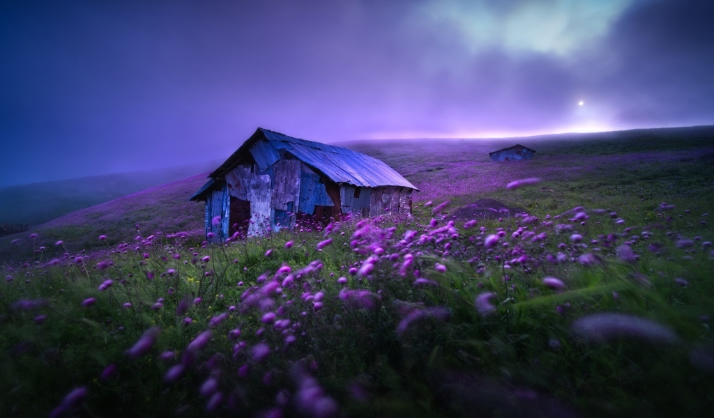 Старый дом с сиреневыми цветами на холме