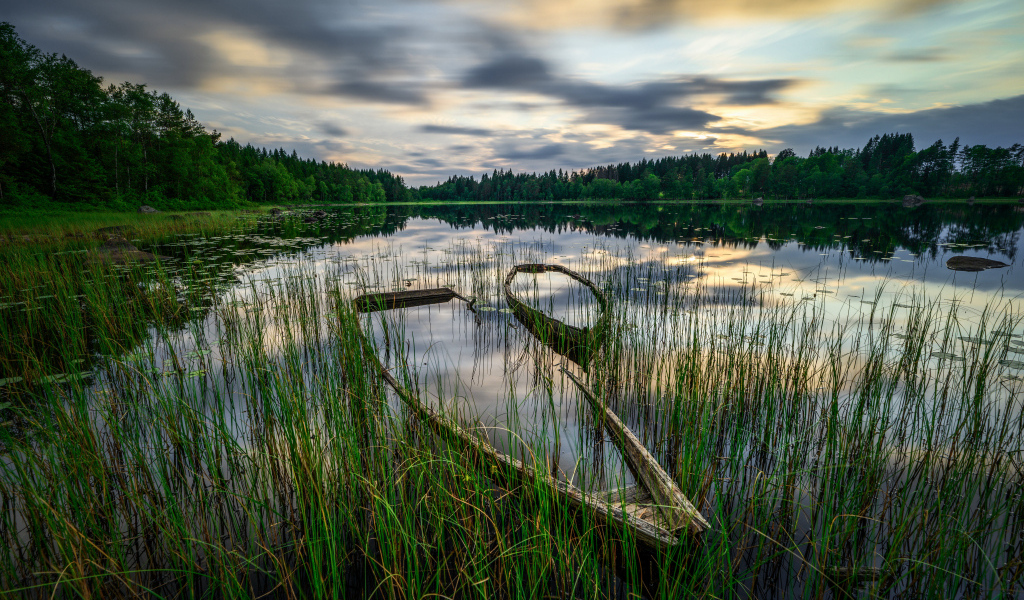 Старая затонувшая лодка в пруду