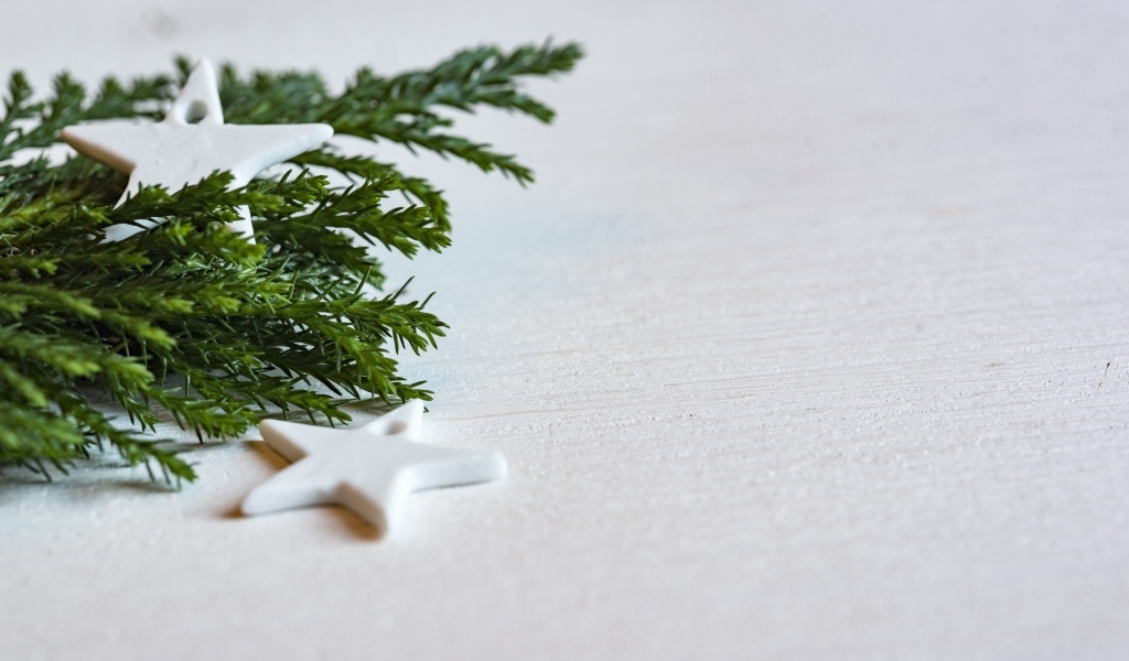 Звезды и ветка ели на белой поверхности 