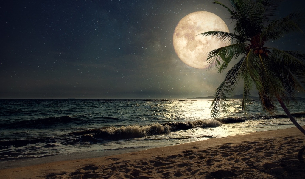 Большая желтая луна над тропическим пляжем