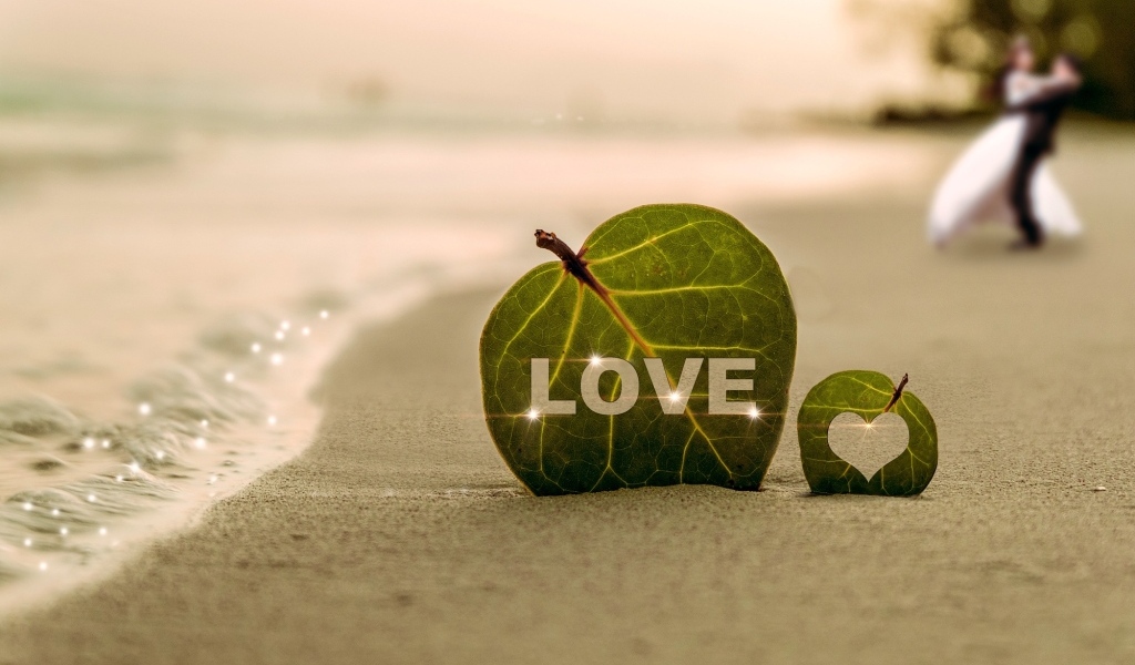 Зеленый лист в надписью любовь на песке у моря