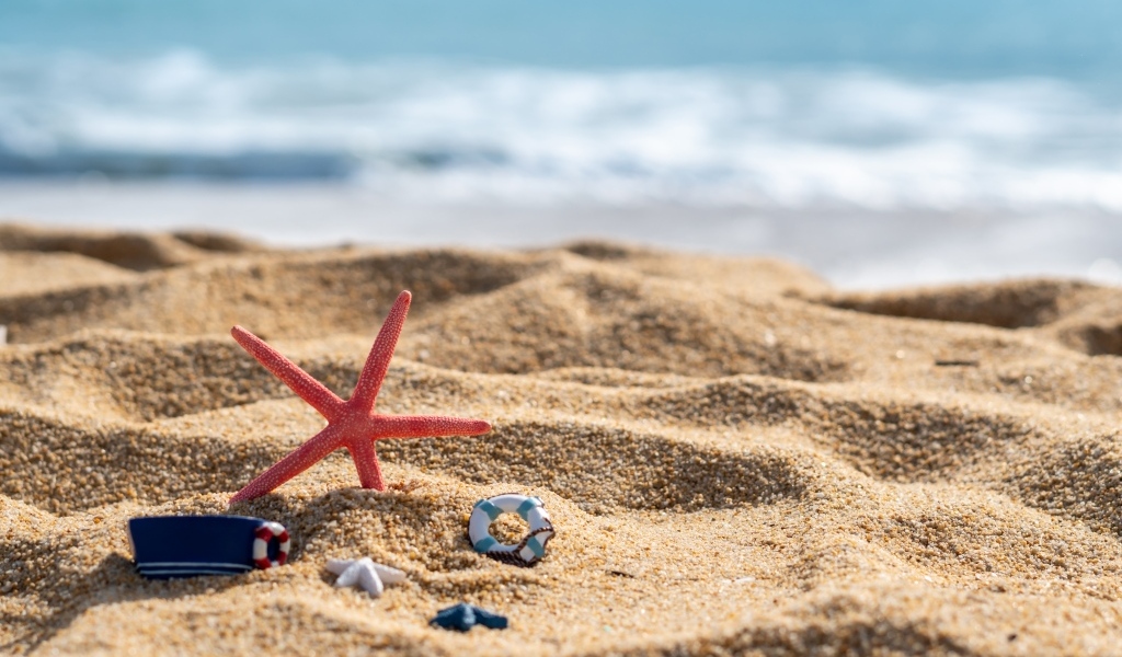 Красная морская звезда и игрушки на песке у моря летом