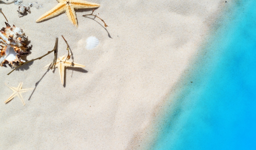 Морские звезды и ракушки на белом песке у голубой воды