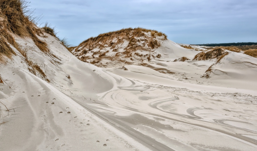 Горячий песок в дюне