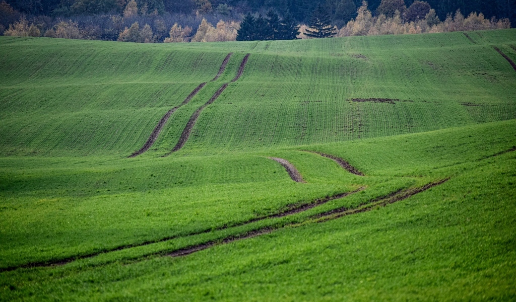 Красивый вид за зеленые поля весной