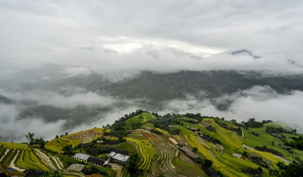 Вид сверху на плантации в тумане