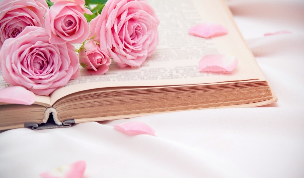 Букет розовых роз лежит на книге