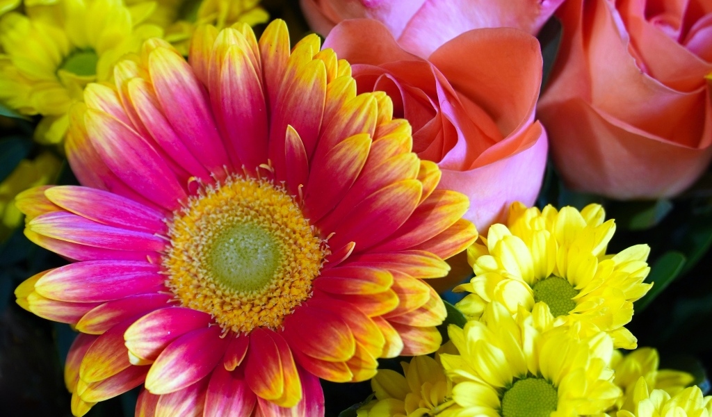 Красивый букет из цветов хризантемы и розы