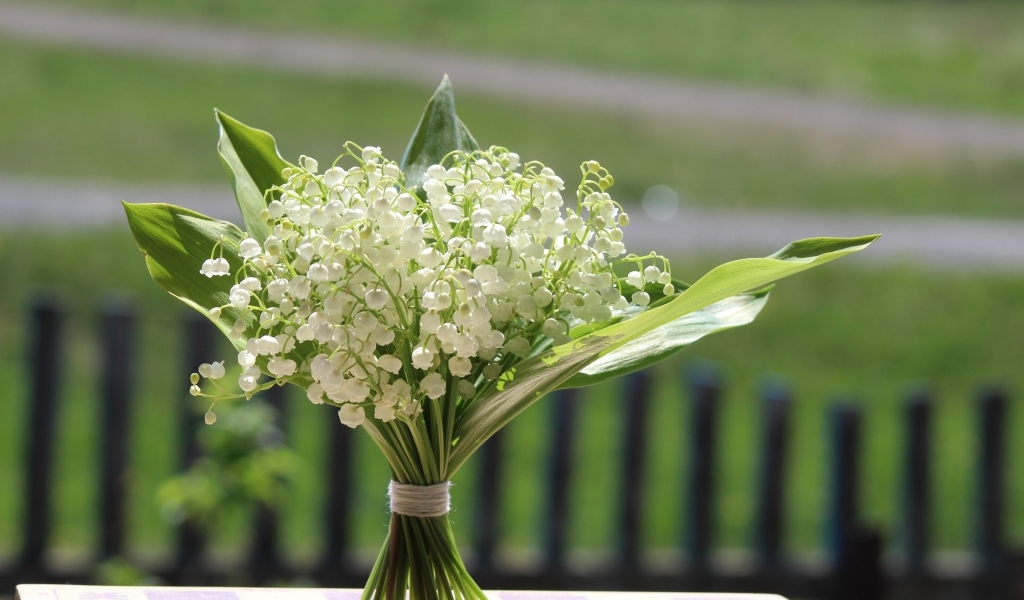 Красивый букет белых ландышей на столе в вазе