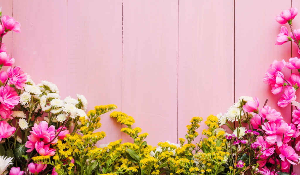 Красивые цветы на розовом фоне