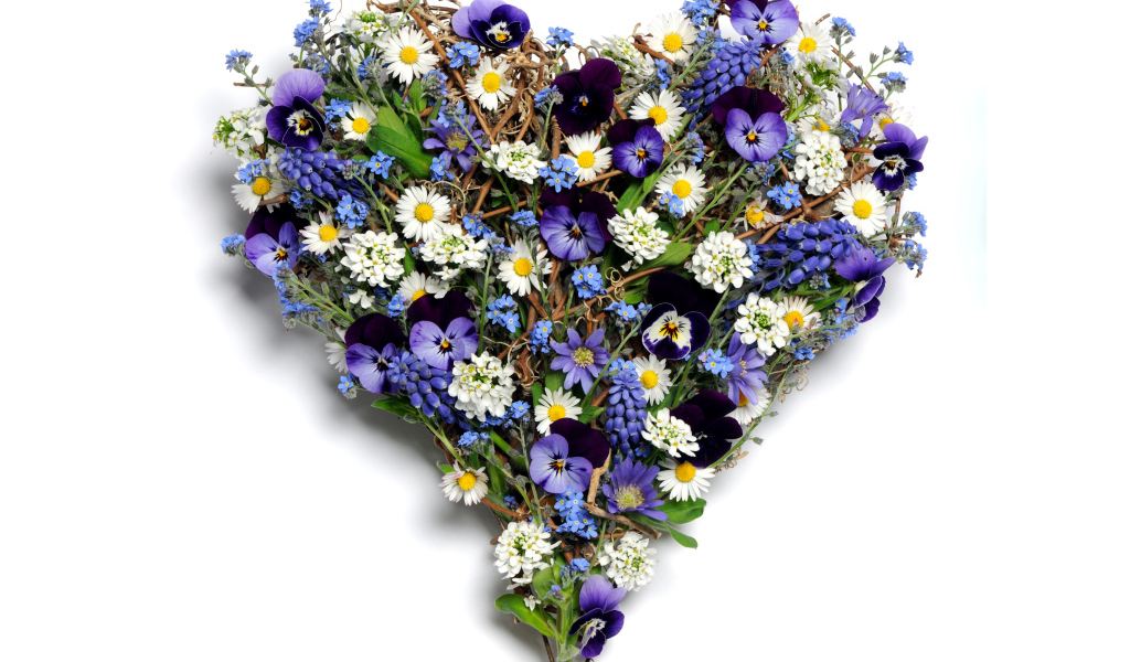 Красивое сердце из цветов на белом фоне