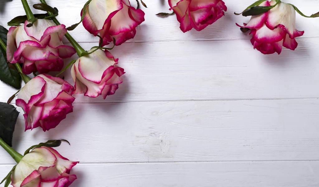 Красивые розы на деревянном фоне