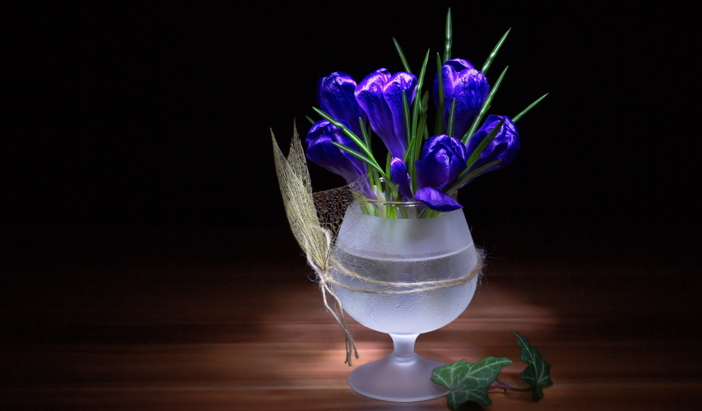 Синие крокусы в бокале на столе