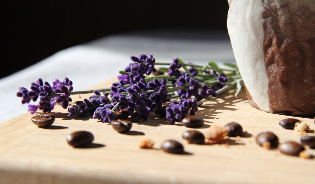 Синие цветы лаванды с зернами кофе