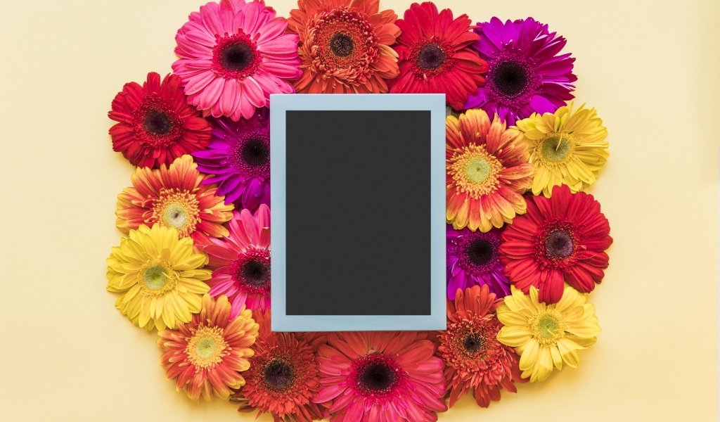 Букет разноцветных гербер с рамкой