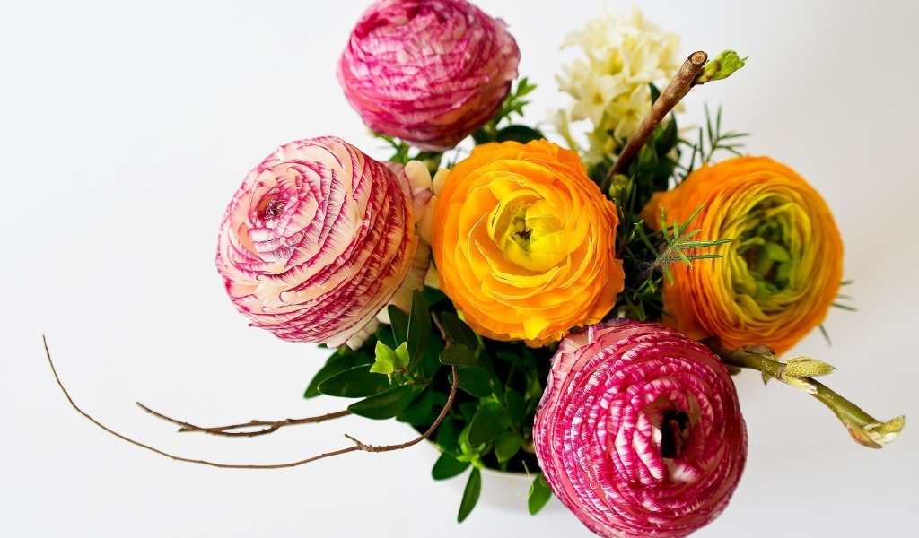 Букет разноцветных цветов лютика на сером фоне