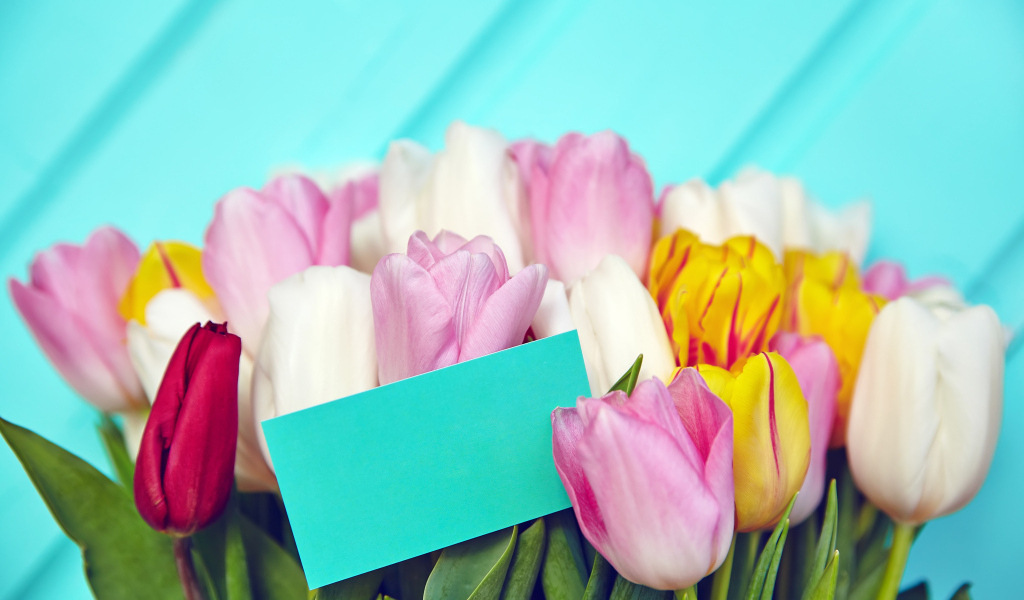 Букет разноцветных тюльпанов с открыткой