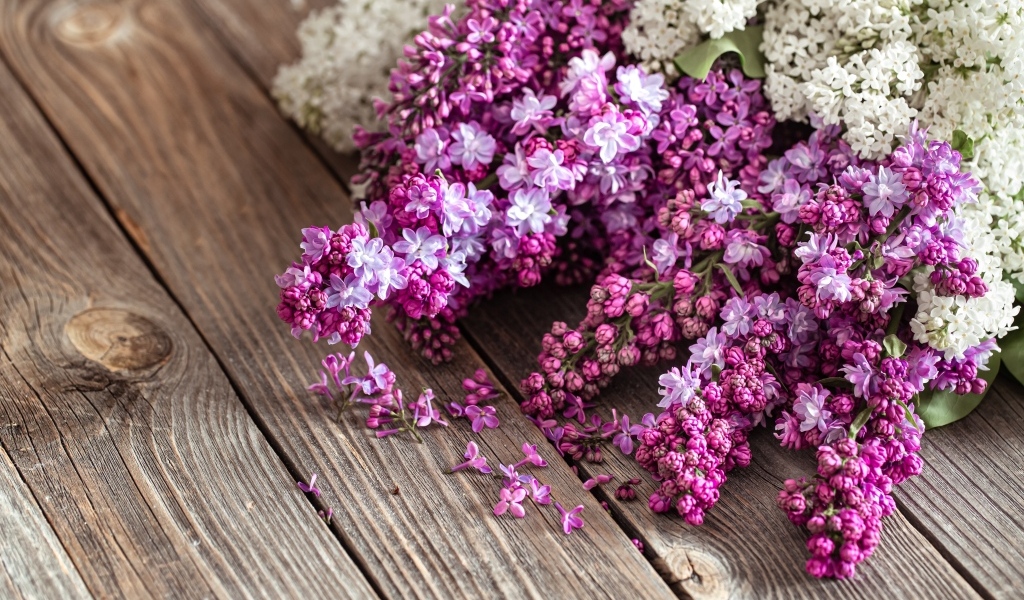 Букет сирени на деревянном столе