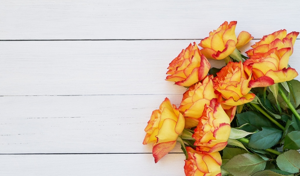 Букет оранжевых роз на белом деревянном фоне