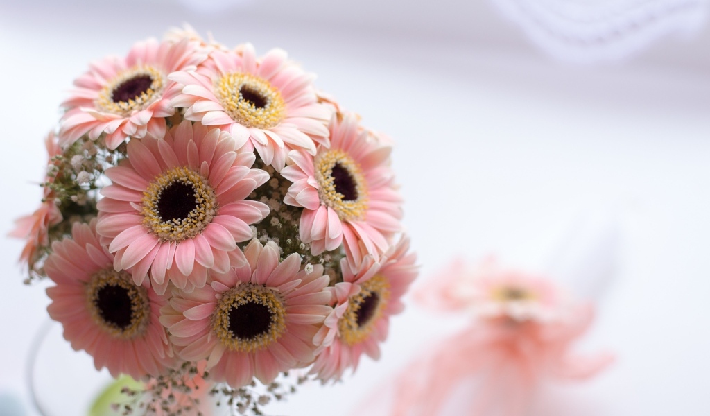 Букет розовых цветов герберы в вазе