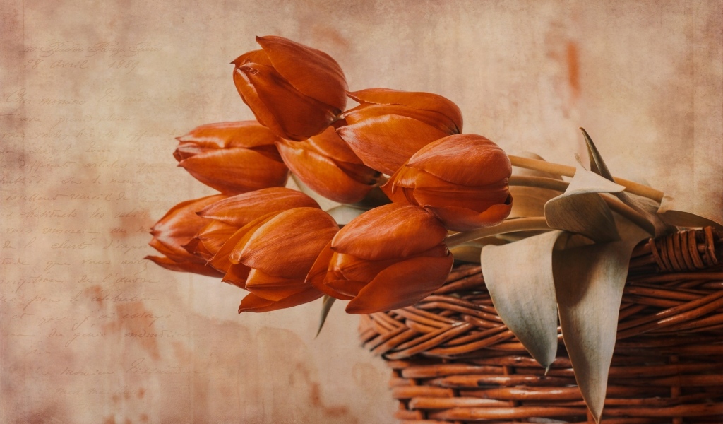 Букет красных тюльпанов в корзине на столе