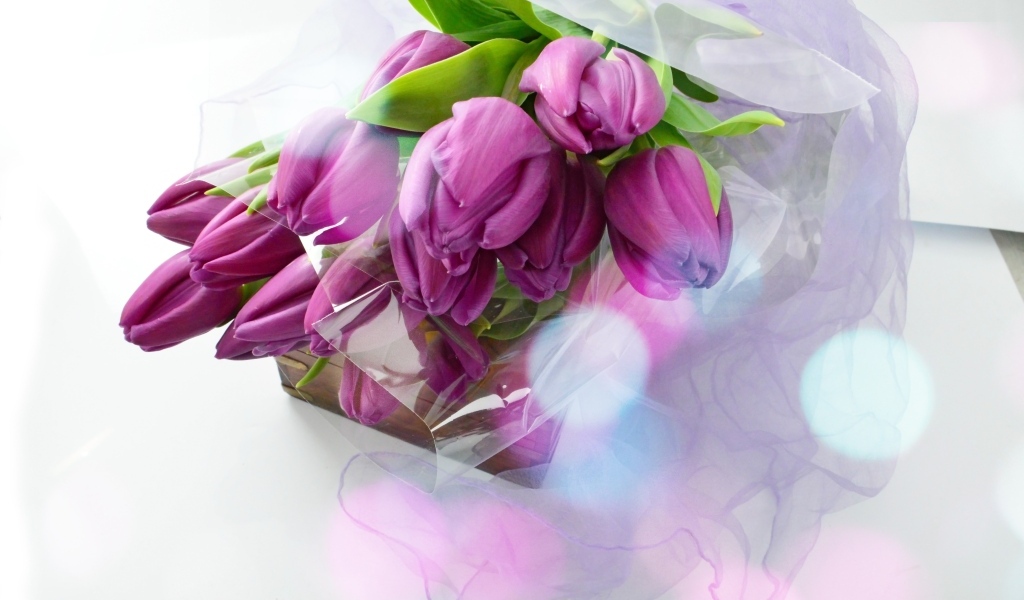 Букет тюльпанов с подарком на белом фоне