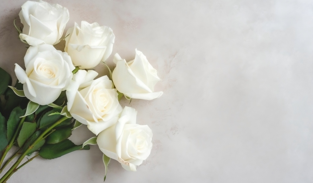 Букет белых роз на сером фоне