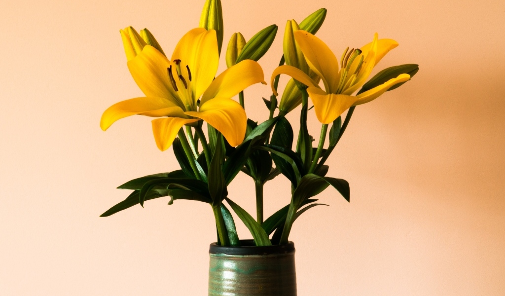 Букет желтых лилий в вазе