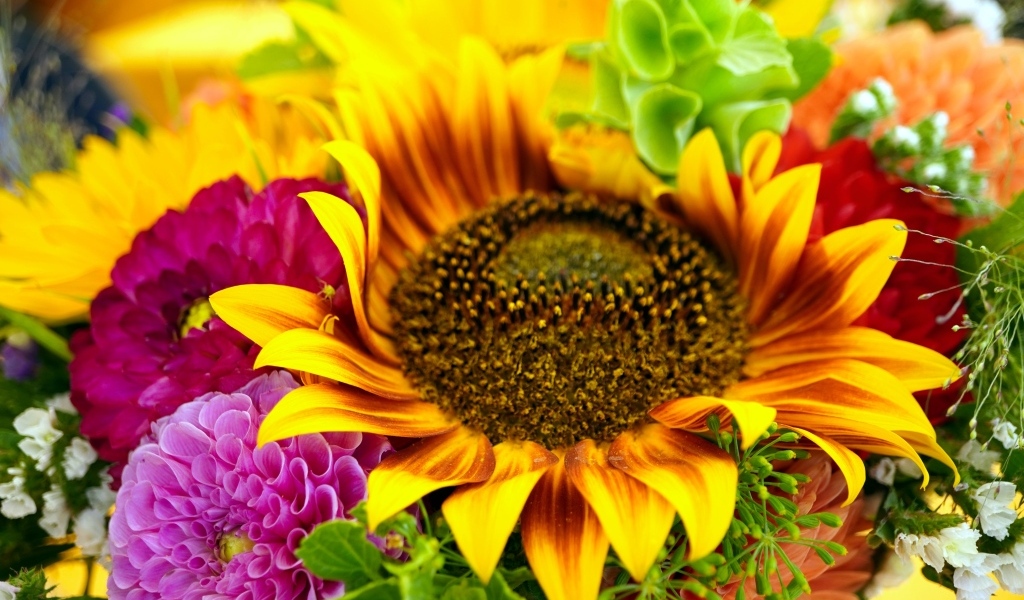 Букет с цветами подсолнуха и георгины