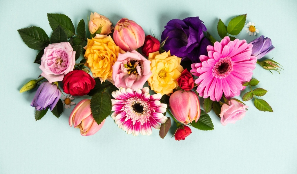 Композиция из разных цветов на сером фоне