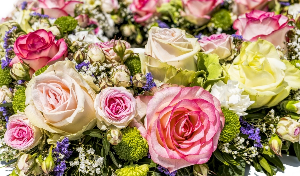 Нежные розы и цветы гипсофилы крупным планом