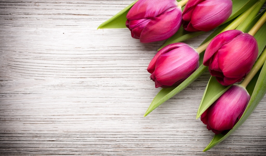 Пять розовых тюльпанов на деревянном фоне