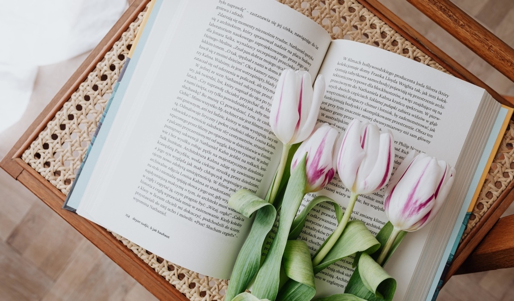Свежие тюльпаны лежат на книге