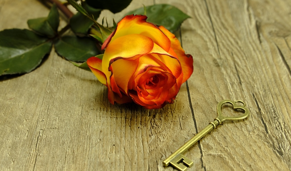 Ключ и оранжевая роза на деревянном столе
