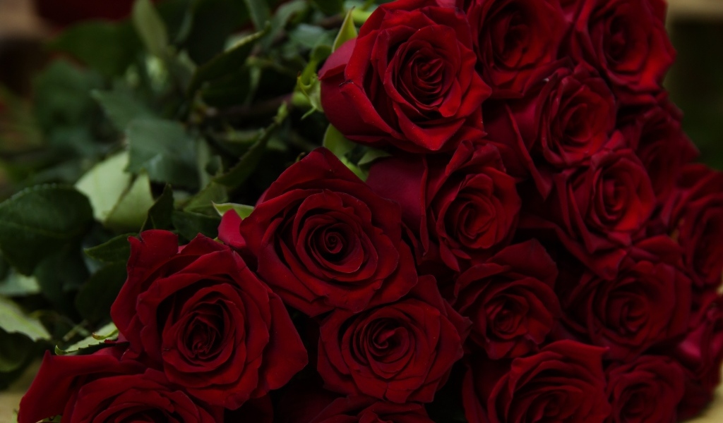 Большой букет ароматных красных английских роз