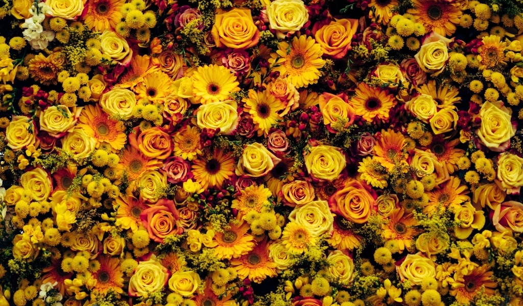 Много разных оранжевых цветов для фона