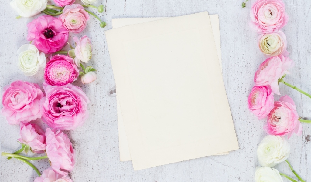 Розовые лютики с белыми листами на сером столе