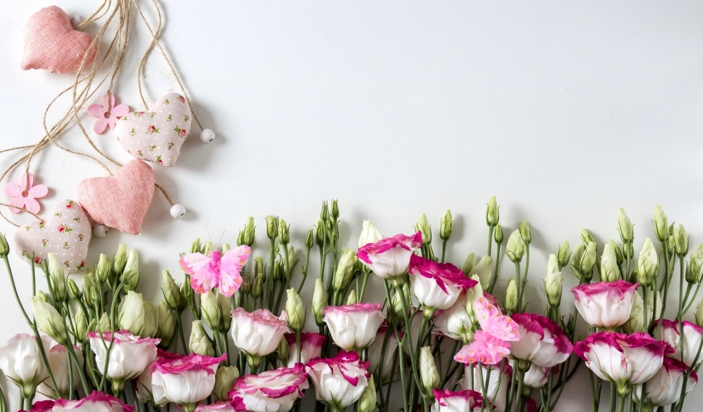 Розовые цветы эустомы с сердечками на сером фоне