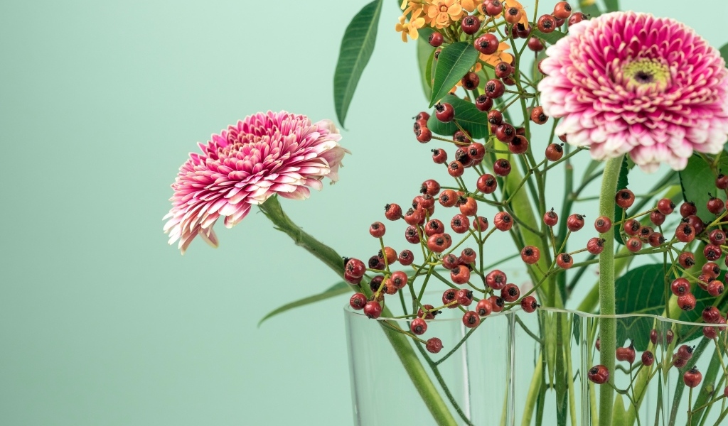 Розовые герберы с ветками на голубом фоне