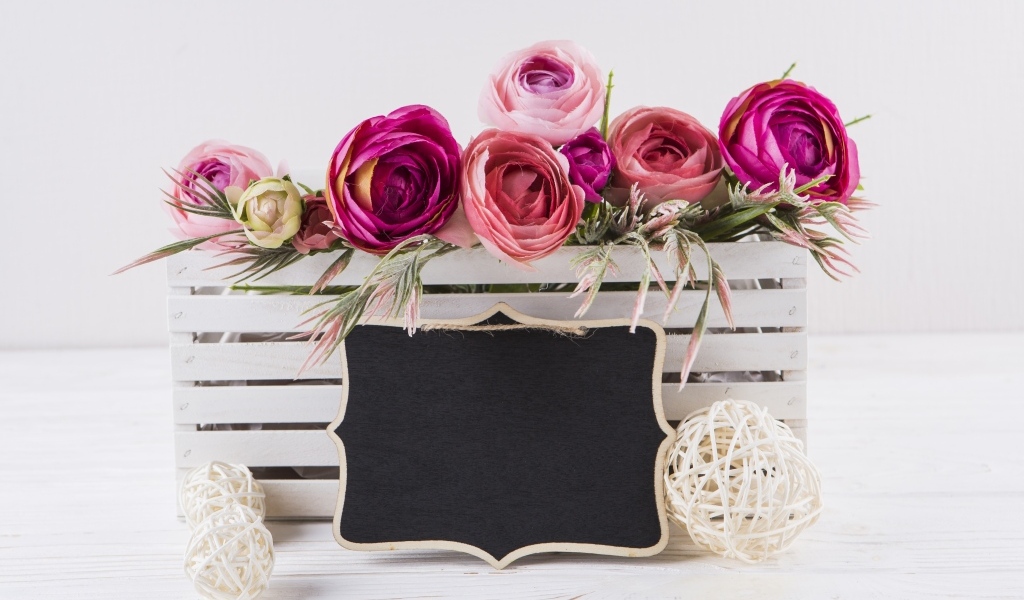 Розовые цветы лютика в белом ящике с рамкой