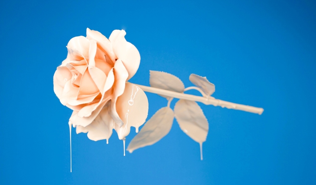 Розовая роза в краске на голубом фоне