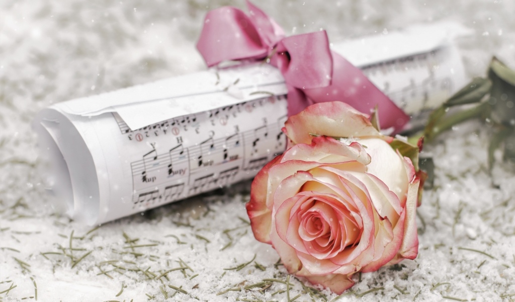 Розовая роза с нотами на снегу